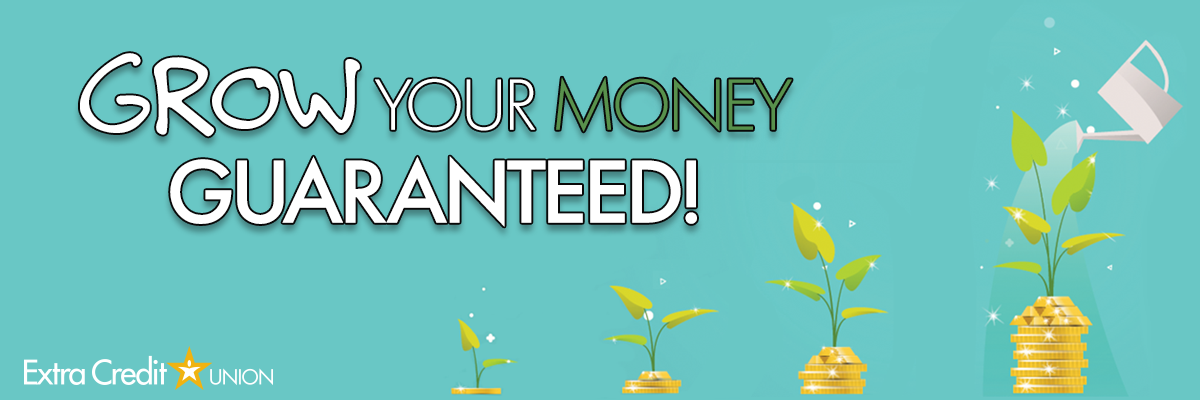 Grow Your Money—GUARANTEED!